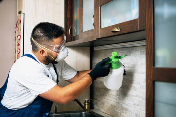 Best Affordable Pest Control Services  in Waihee Waiehu, HI