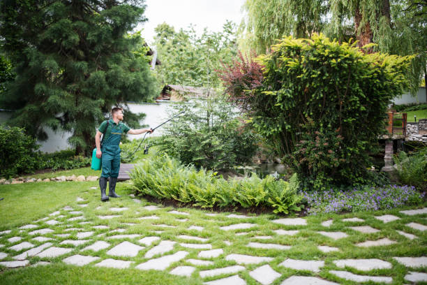 Best Best Pest Control Companies  in Waihee Waiehu, HI