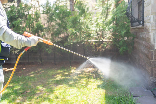 Best Mosquito Control Services  in Waihee Waiehu, HI