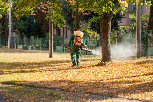 Best Wasp Removal Services  in Waihee Waiehu, HI